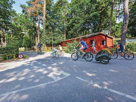 Family Riding in New Forest